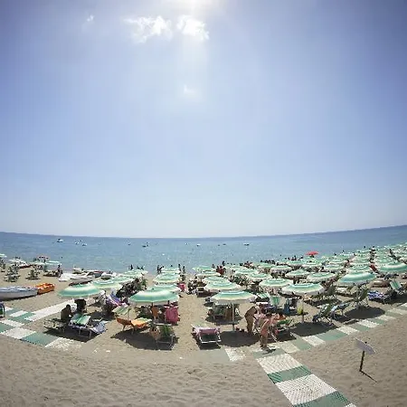 Porto Rhoca